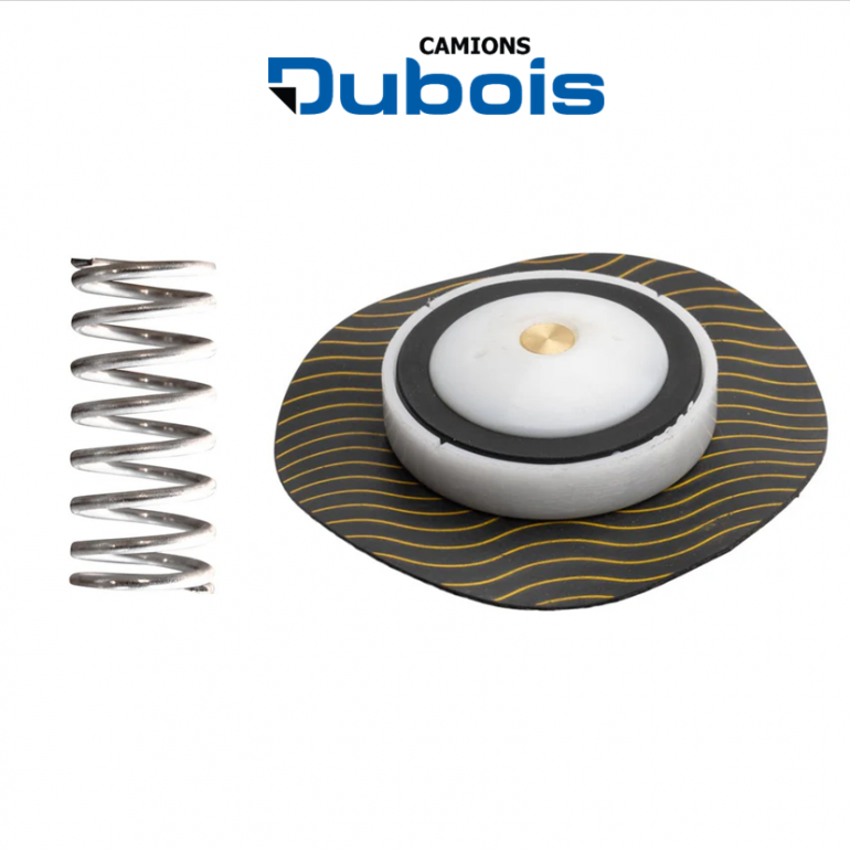 DIAPHRAGM ASSEMBLY WITH SPRING